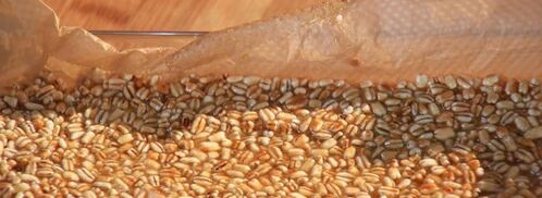 козинаки из перловки. Шаг 3