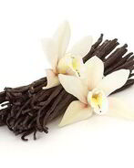 Английский ванильный крем с корицей