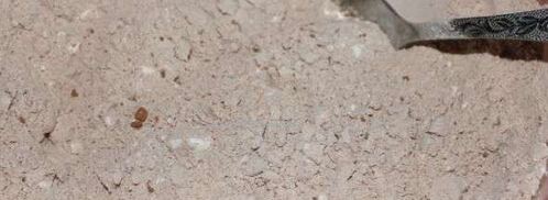 пироженое с заварным кремом. Шаг 4