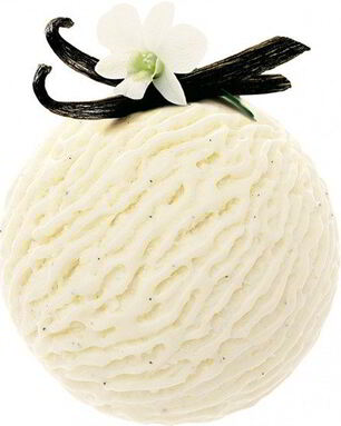 Мороженое с мадагаскарской ванилью