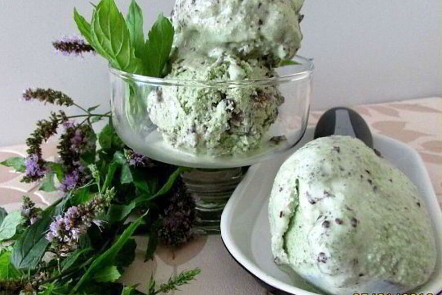 Рецепт мятного мороженого с кусочками шоколада