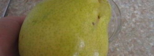 конфеты с грушово-мятным муссом. Шаг 9