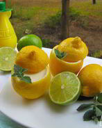 Лимонный мусс Форчино