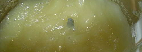 мусс из яблок. Шаг 4