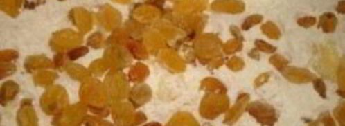 венское тесто для куличей. Шаг 10