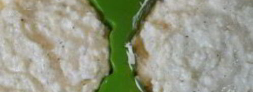 пудинг творожный на пару. Шаг 10