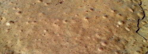 шоколадные кубики с грецким орехом и миндалем. Шаг 7