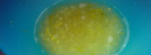 суфле с лаймом. Шаг 2