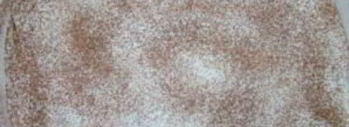 тирамису с перепелиными яйцами. Шаг 6