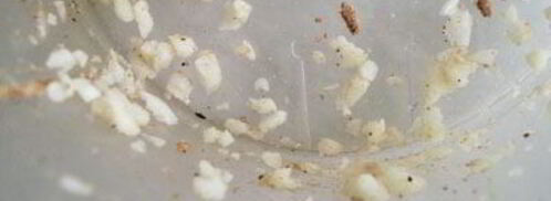 картофельно-ореховые фрикадельки. Шаг 8