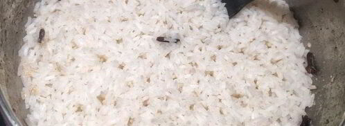 рис с гулу жоу. Шаг 2