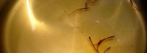 рис сказка шахерезады. Шаг 2