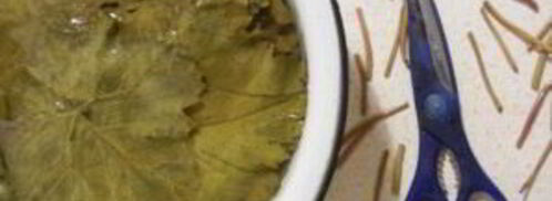 армянская долма из виноградных листьев. Шаг 2