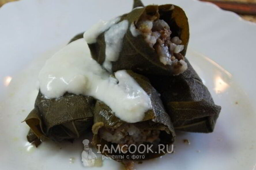 Рецепт долмы в виноградных листьях