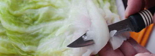 голубцы в кастрюле. Шаг 2