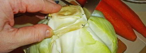 квашеные голубцы с морковью. Шаг 3