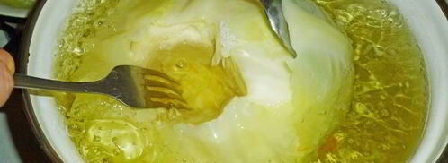 квашеные голубцы с морковью. Шаг 4