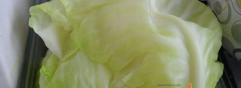 листья капусты для голубцов. Шаг 4