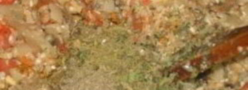 постная долма. Шаг 7