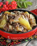 Маслята жареные с картошкой