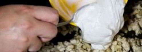 шампиньоны, фаршированные курицей и сыром. Шаг 6