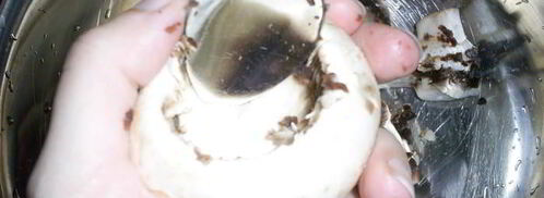 закусочные фаршированные шампиньоны. Шаг 2