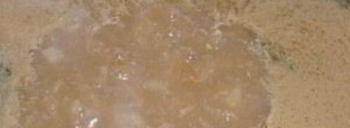 гуляш диетический. Шаг 5