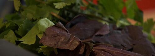 суп-гуляш из говядины. Шаг 4