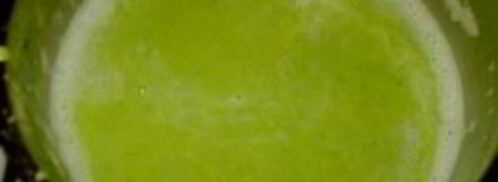 картофельное пюре с горошком. Шаг 4