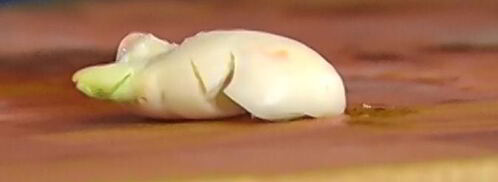 макароны с тимьяном и орегано. Шаг 3