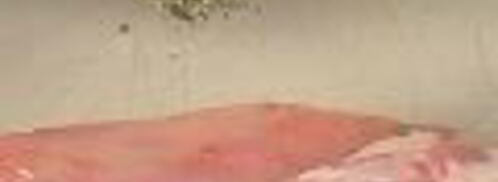 фаршированное седло кролика. Шаг 3