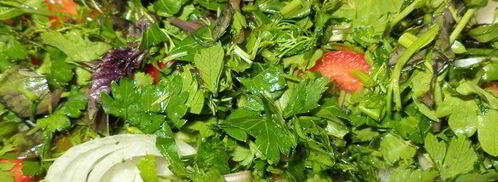 хашлама. Шаг 10