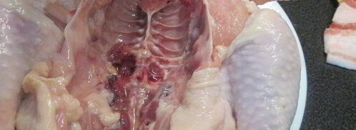 курица с начинкой из бекона и ароматных трав. Шаг 4