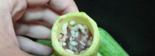 кабачки по-арабски. Шаг 3