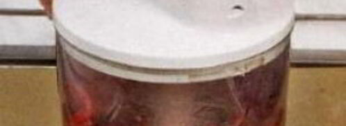 говяжья печенка с красным луком. Шаг 2