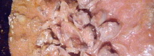 куриная печень в томатном соусе. Шаг 5