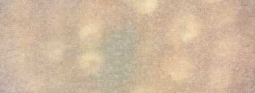 джамбалайя. Шаг 6