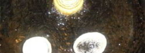 узбекский плов из свинины. Шаг 3