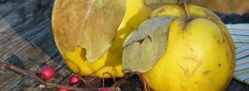 осеннее рагу. Шаг 6