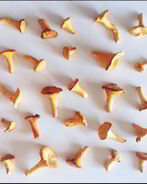 Рагу из лисичек и баклажанов