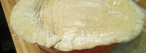 слоеное рагу из мяса и овощей под хлебной корочкой. Шаг 7