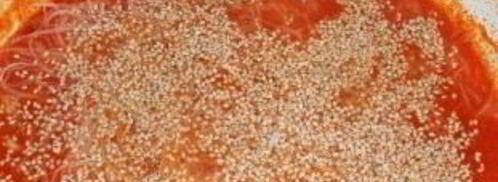 рисовая лапша с овощами и морепродуктами. Шаг 4