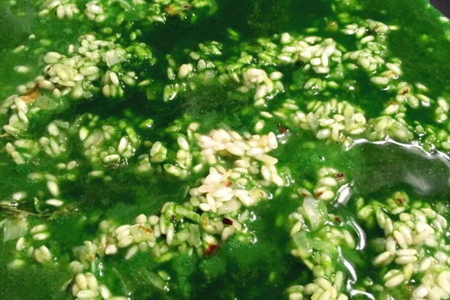 Рецепт огуречного ризотто