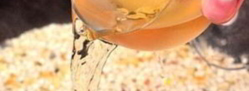 ризотто с креветками и горошком. Шаг 4