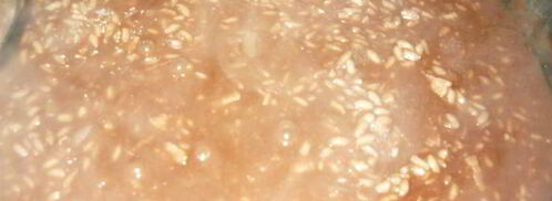 шоколадное ризотто. Шаг 2