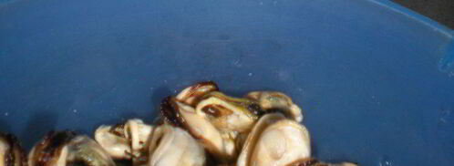 желтое ризотто с морепродуктами. Шаг 5