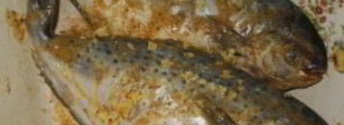 рыба масляная. Шаг 2