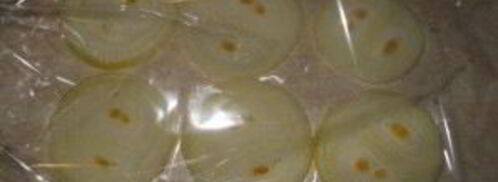 рыба масляная. Шаг 5