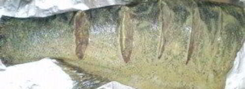 толстолобик в духовке в фольге. Шаг 2