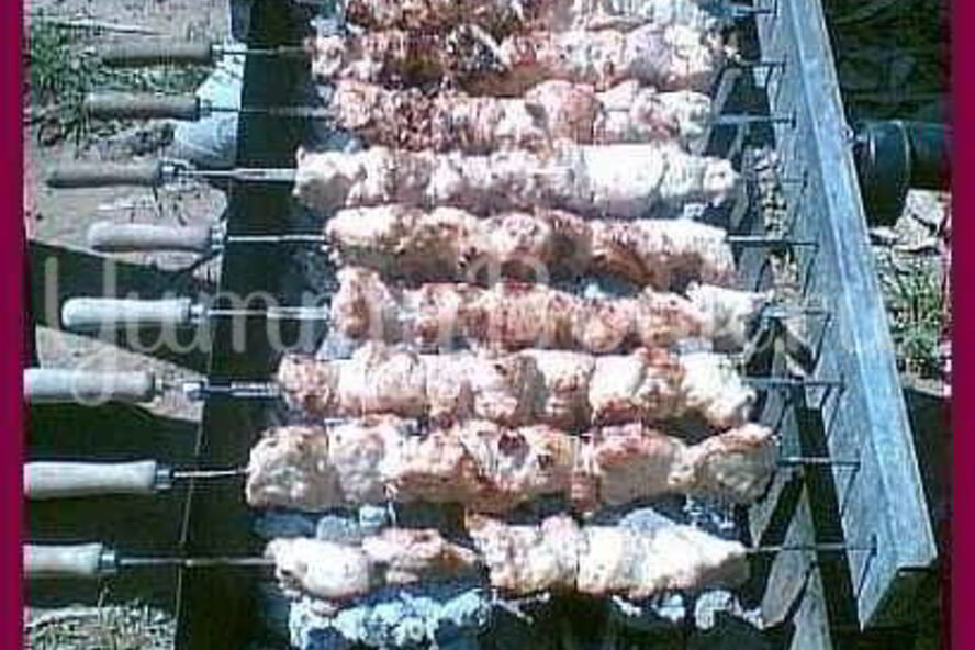 Рецепт шашлыка из индейки